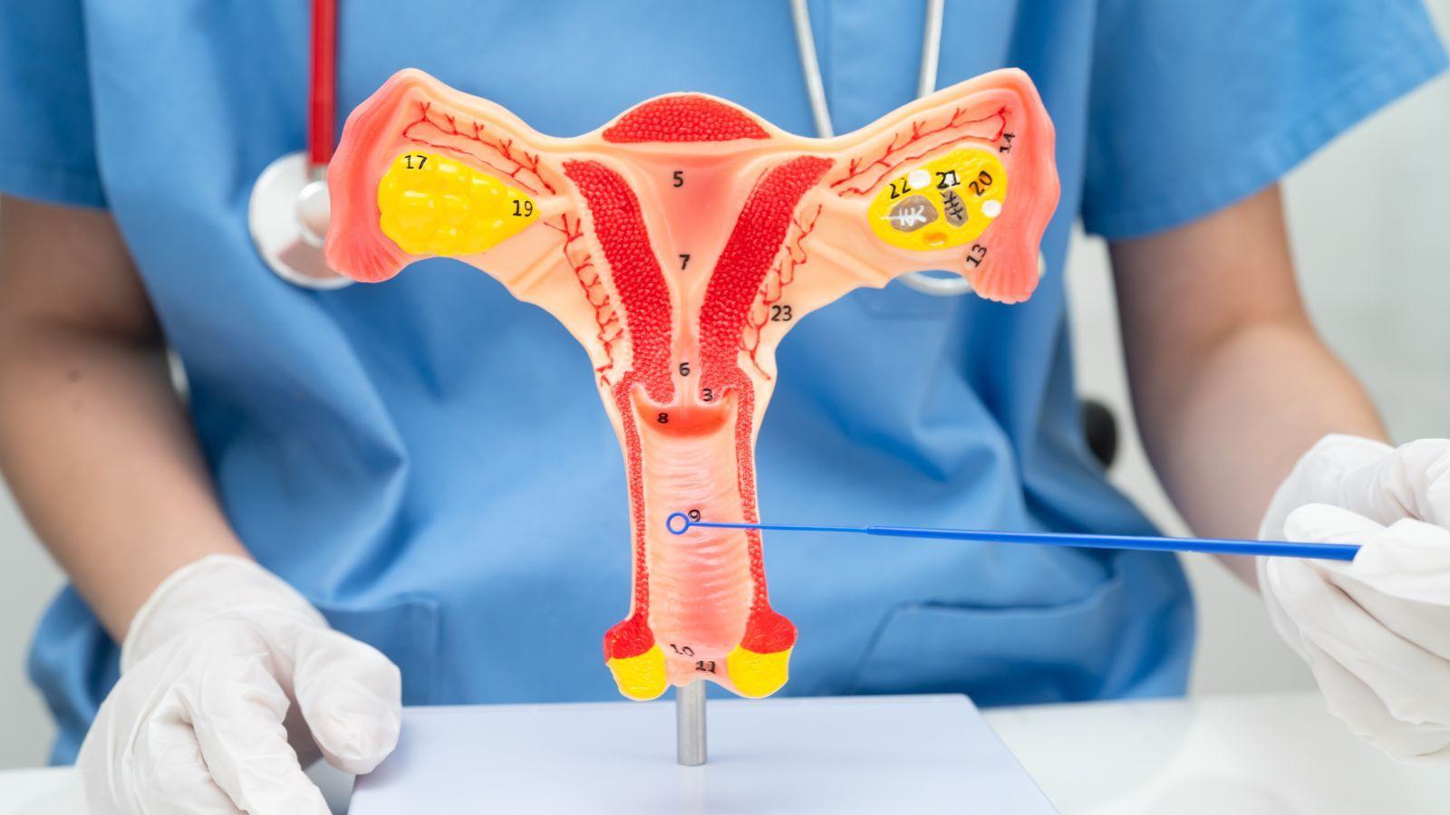 ureaplasma testing women, mycoplasma vaginal health, home testing kits women, vaginal infection testing, reproductive health testing, std testing women at home, women's health testing kits, vaginal bacteria diagnosis, private women’s health tests, at-home std test women